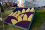 Thumbs/tn_Bloemencorso 2015 019.jpg